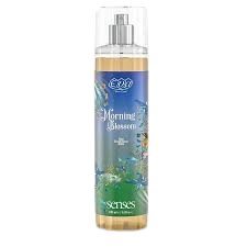 بادى سبلاش ايفا 240 م